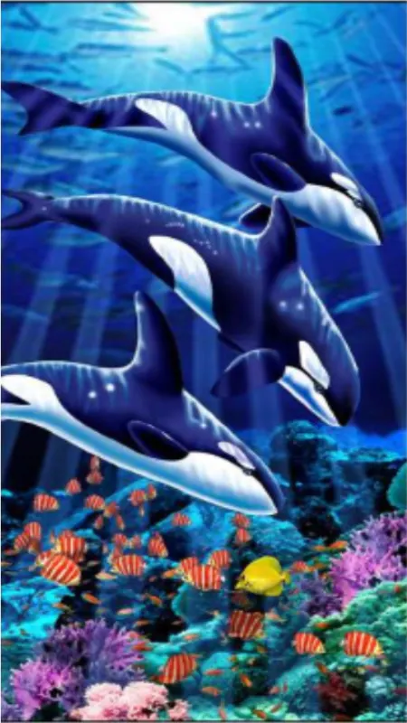 Toalla de playa Threes Orcas